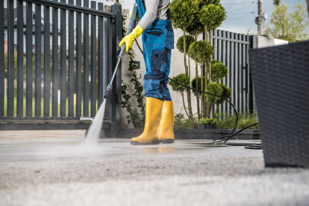 Best Best Pressure Washing Companies  in Palos Hls, IL