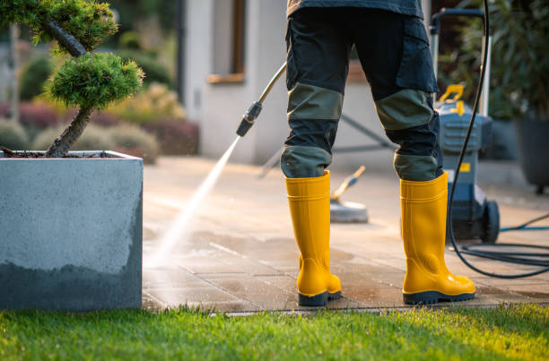 Best Pressure Washing Near Me  in Palos Hls, IL